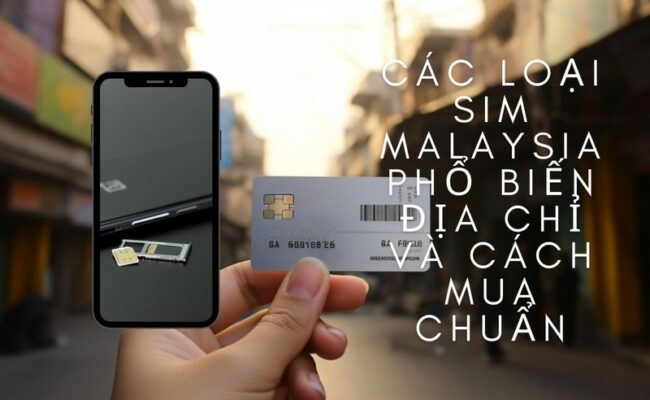 Các Loại Sim Malaysia Phổ Biến, Địa Chỉ Và Cách Mua Chuẩn