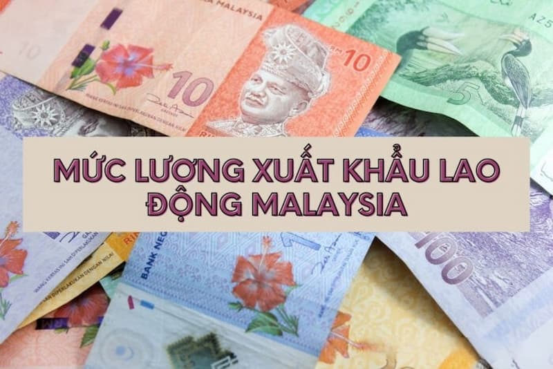 Thu nhập của người lao động ở Malaysia cao hơn ở Việt Nam